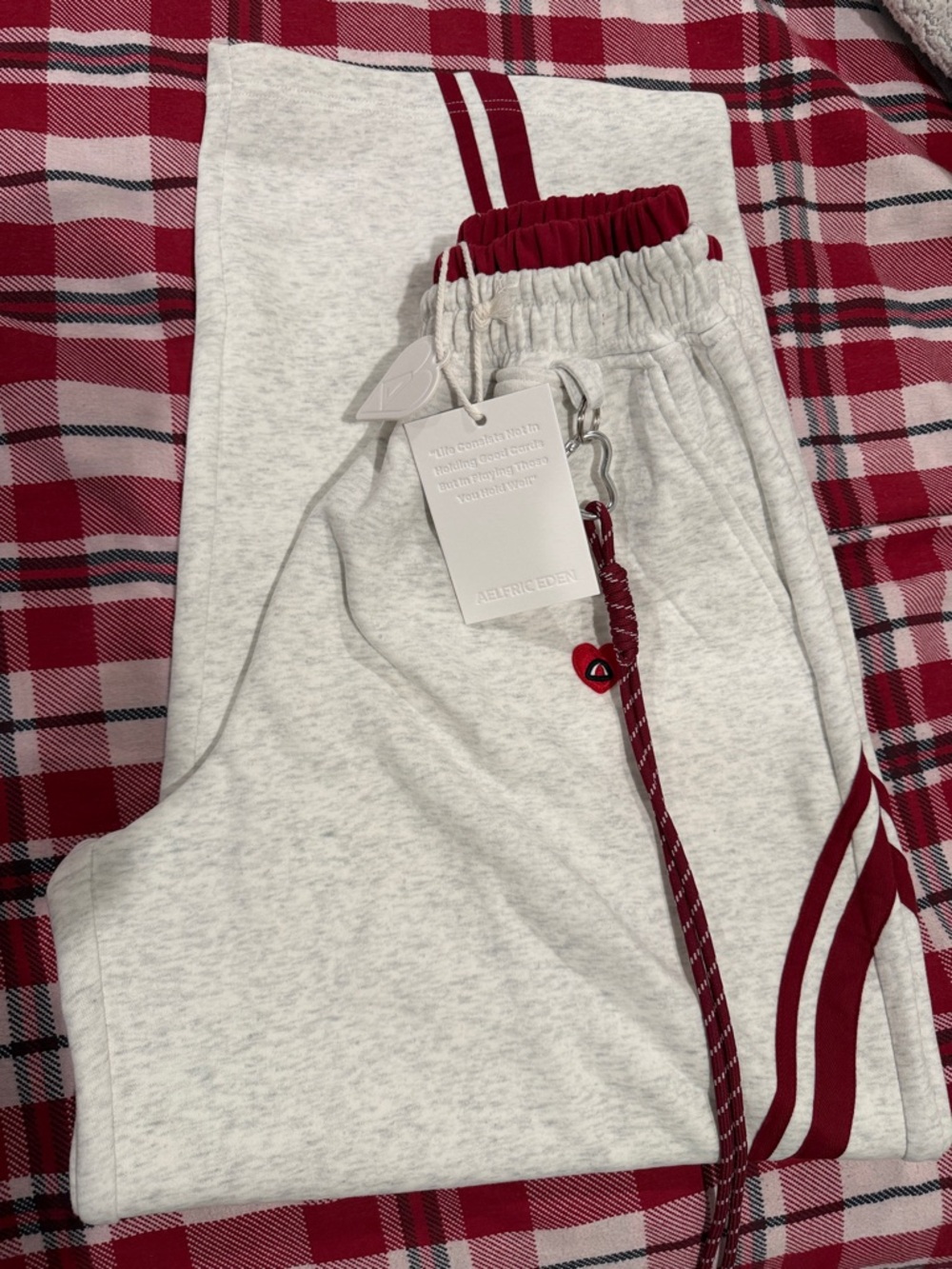 Aelfric Eden Light Gray Joggers with Burgundy Stripe Accents